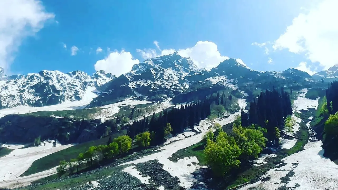 Delight Kashmir
